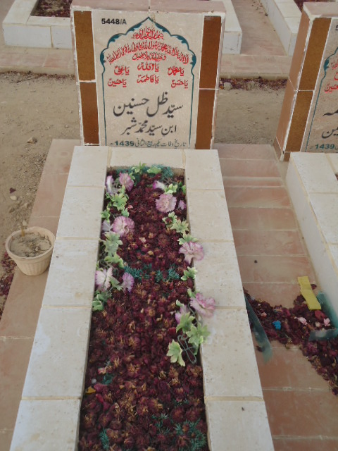 15448 – Syed Zille Hasnain