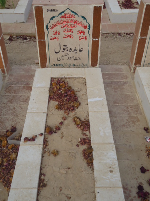 15496 – Abida Batool