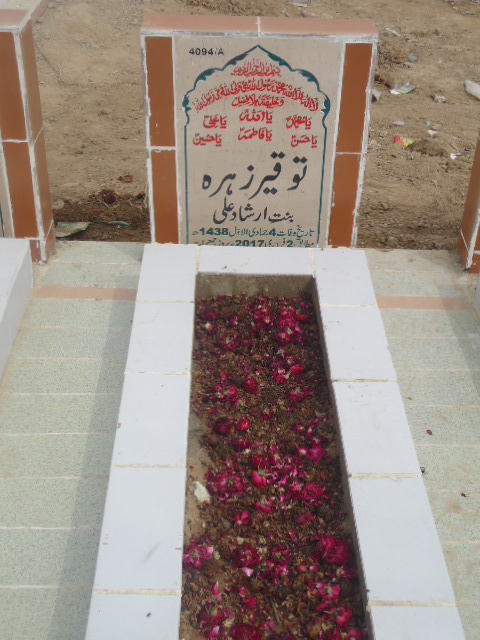 14094 – Touqeer Zehra