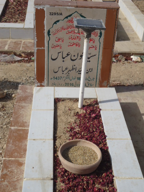 13295 – Syed Awn Abbas