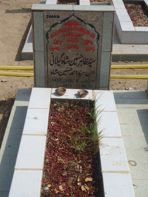 12444 – Syed Zahir Hussain Shah Gilani