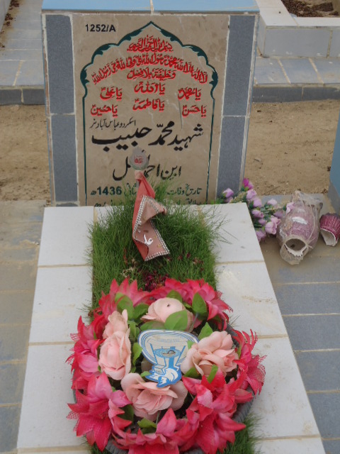 11252 – Shaheed Muhammad Habib