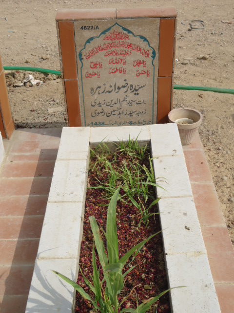 14622 – Syeda Rizwana Zehra