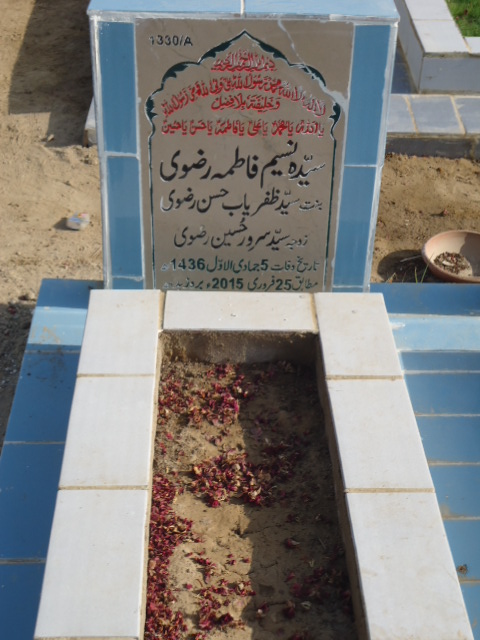 11330 – Syeda Naseem Fatima Rizvi