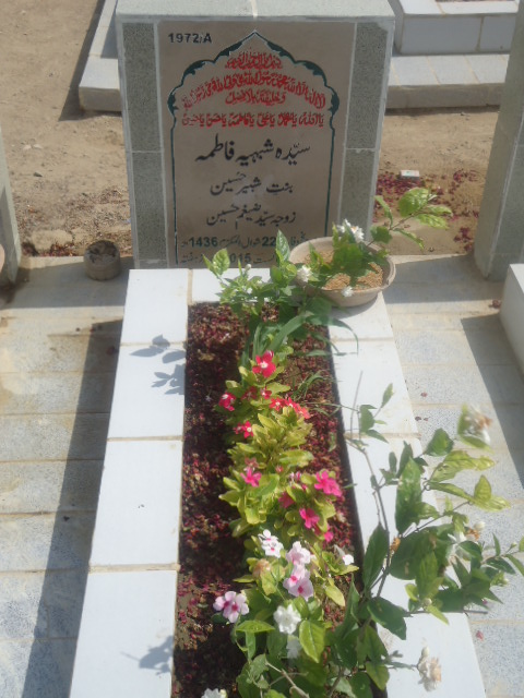 11972 – Syeda Shabhi Fatima