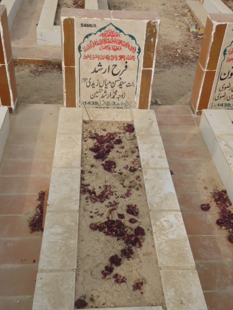 15466 – Farah Arshad