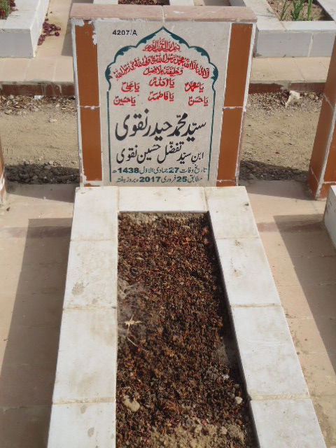 14207 – Syed Muhammad Haider Naqvi