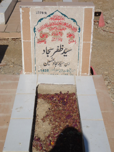 13778 – Syed Zafar Sajjad