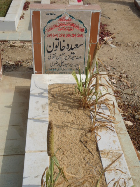 14290 – Saeeda Khatoon