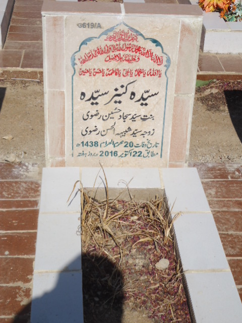 13619 – Syeda Kaneez Syeda