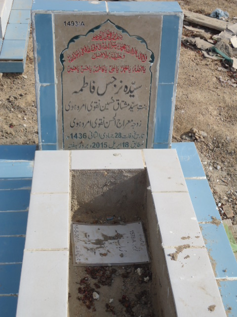 11493 – Syeda Narjis Fatima