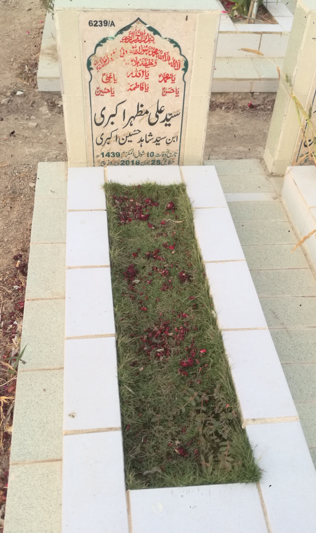 16239 – Syed Ali Mazhar Akbari