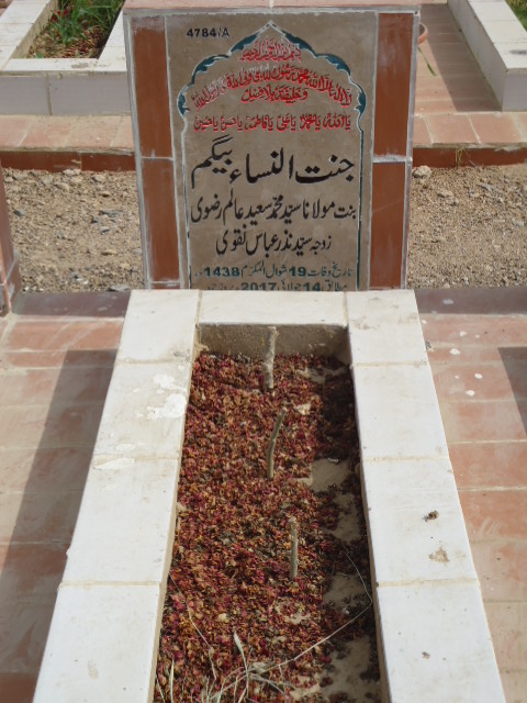 14784 – Jannat Ul Nisa Begum