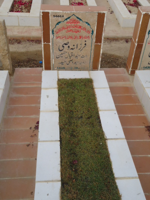 15444 – Farzana Wasi