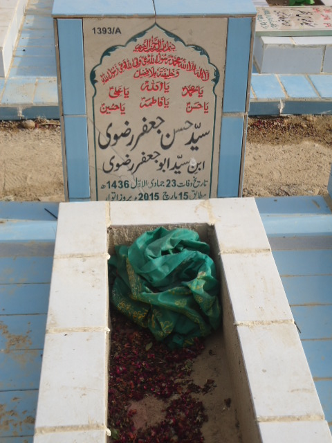 11393 – Syed Hasan Jaffar Rizvi