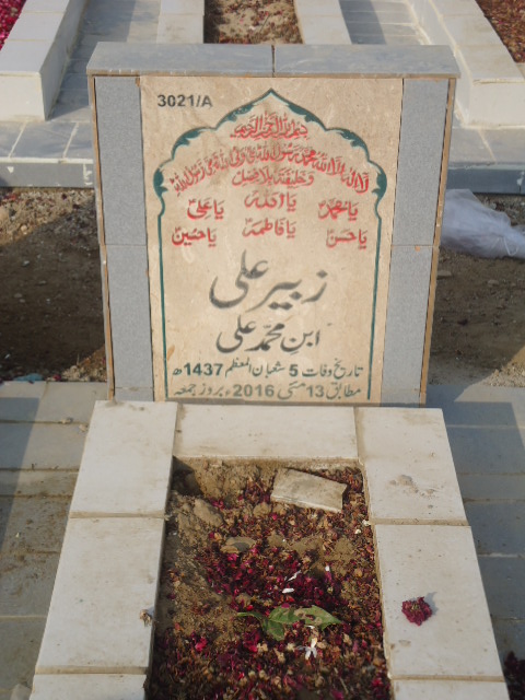 13021 – Zubair Ali