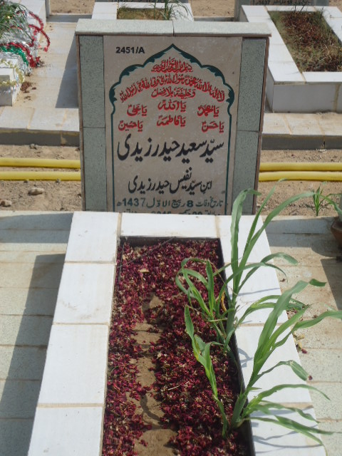 12451 – Syed Saeed Haider Zaidi