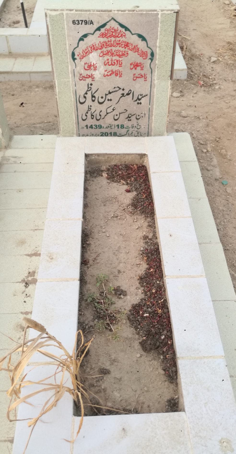 16379 – Syed Asghar Hussain Kazmi
