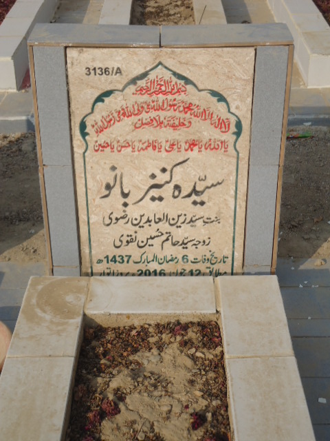 13136 – Syeda Kaneez Bano