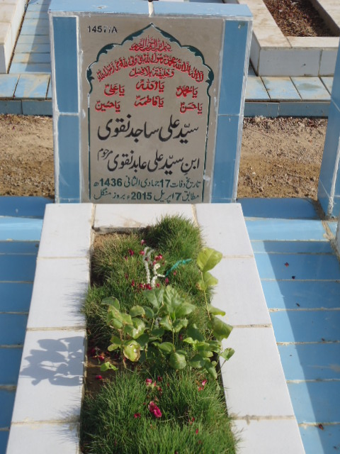 11457 – Syed Ali Sajid Naqvi