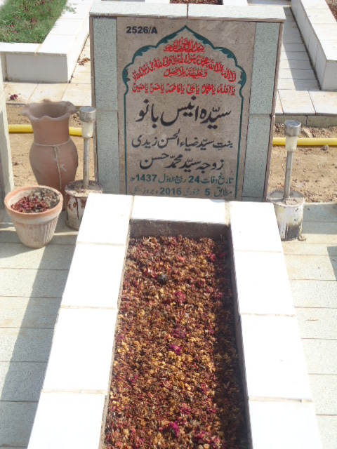 12526 – Syeda Anees Bano