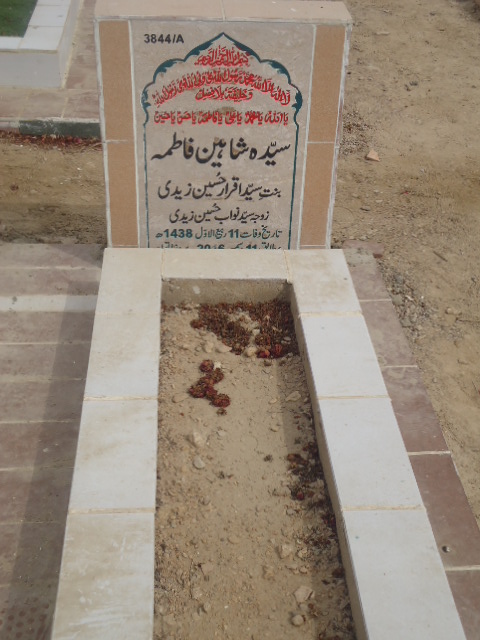 13844 – Syeda Shaheen Fatima