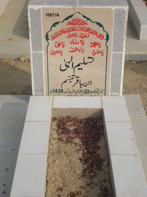 11887 – Tasleem Elahi