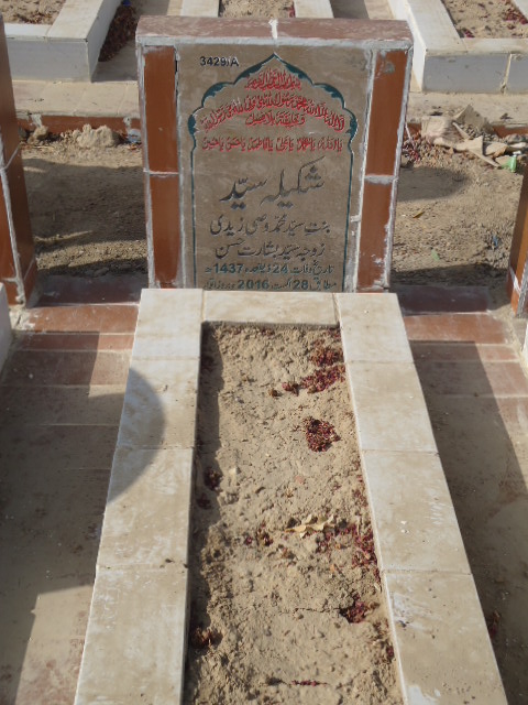 13429 – Shakeela Syed