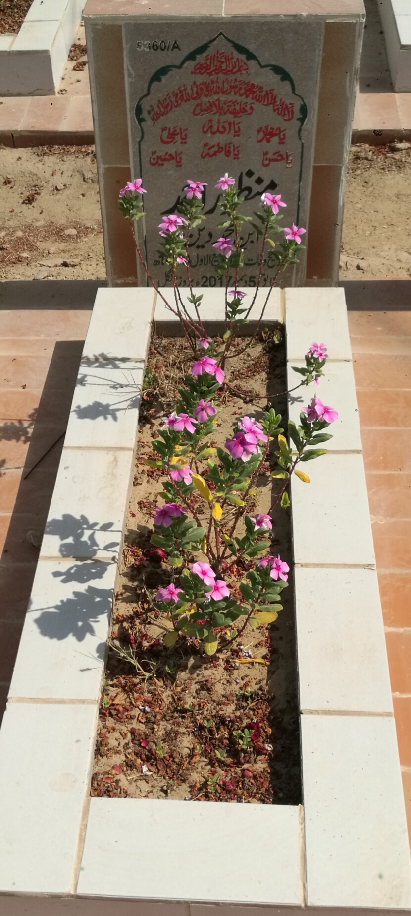 15360 – Manzoor Ahmed