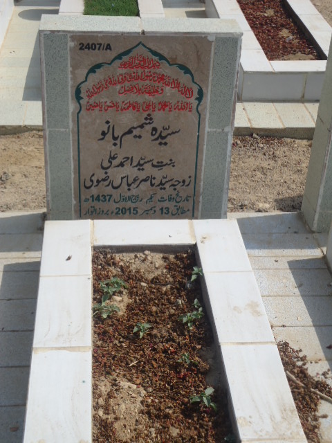 12407 – Syeda Shamim Bano