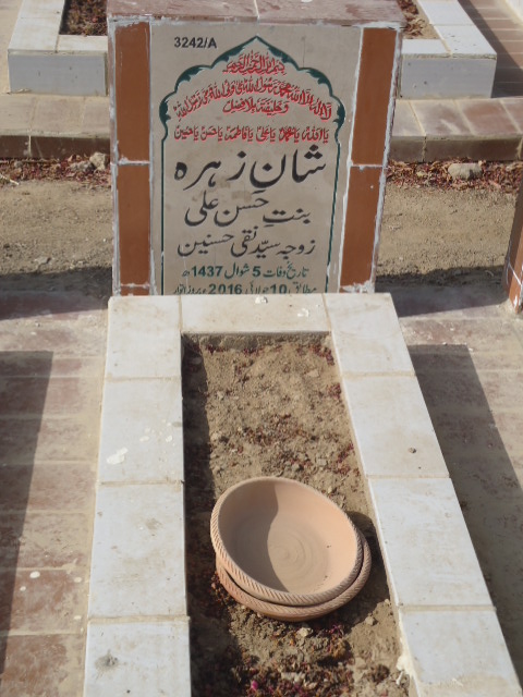 13242 – Shan E Zehra