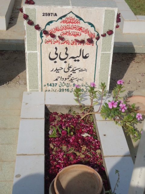 12597 – Aliya Bibi