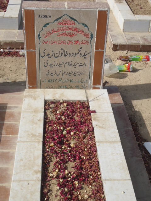13259 – Syeda Mehmooda Khatoon Zaidi