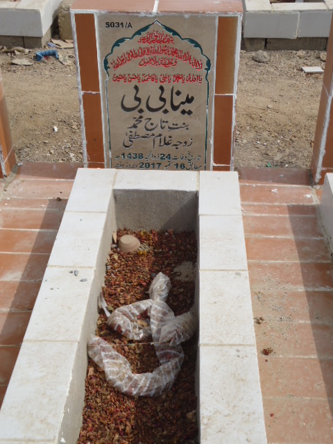 15031 – Meena Bibi
