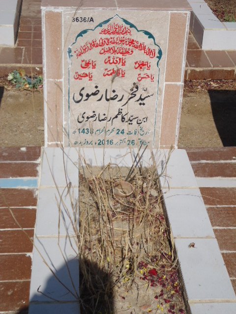 13636 – Syed Fakhar Raza Rizvi