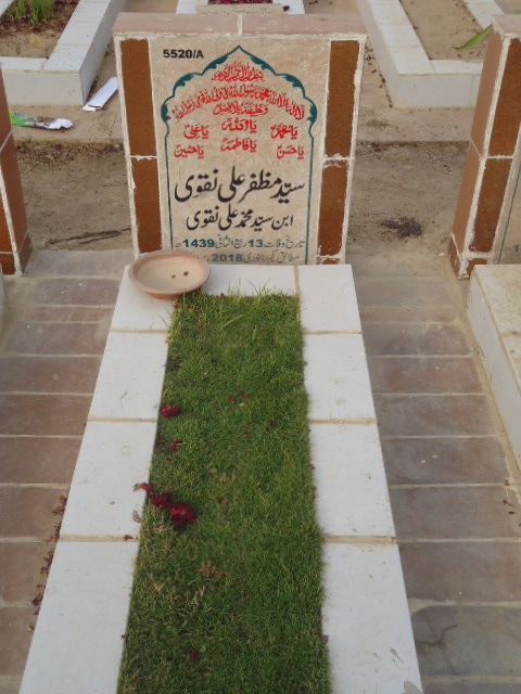 15520 – Syed Muzafar Ali Naqvi