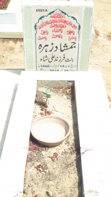 16597 – Jamshad Zehra