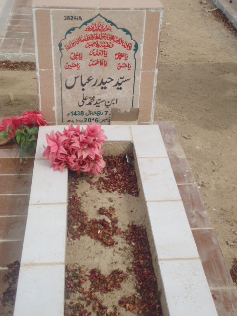 13824 – Syed Haider Abbas