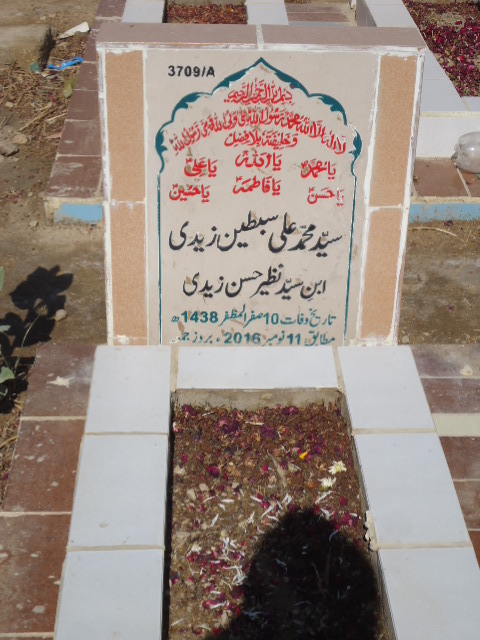 13709 – Syed Muhammad Ali Sibtain Zaidi
