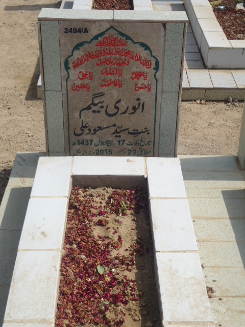 12494 – Anwari Begum