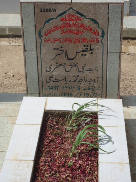 12300 – Bilquees Akhtar