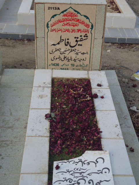 12113 – Shafiq Fatima