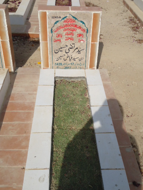 15245 – Syed Murtaza Hussain