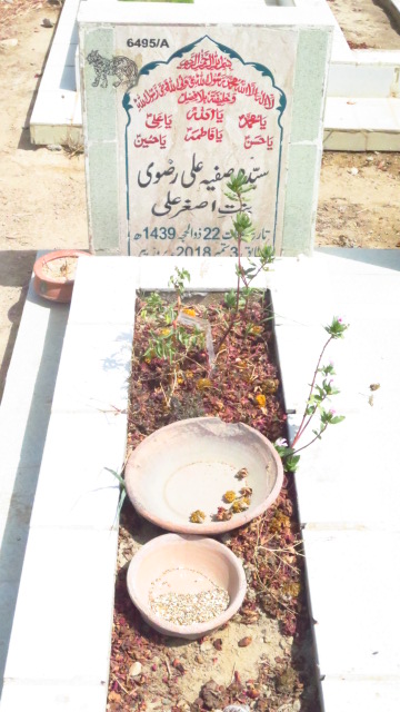 16495 – Syeda Safia Ali Rizvi