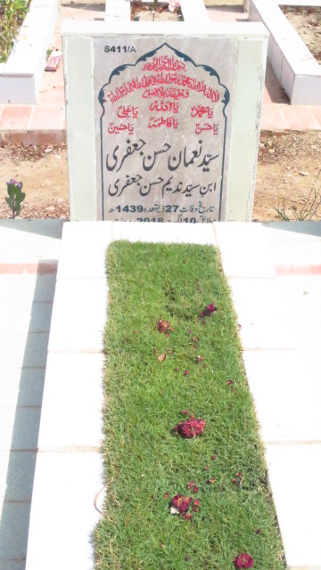 16411 – Syed Noman Hassan Jaffery