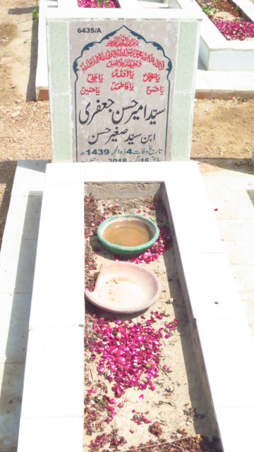16435 – Syed Ameer Hassan Jaffery