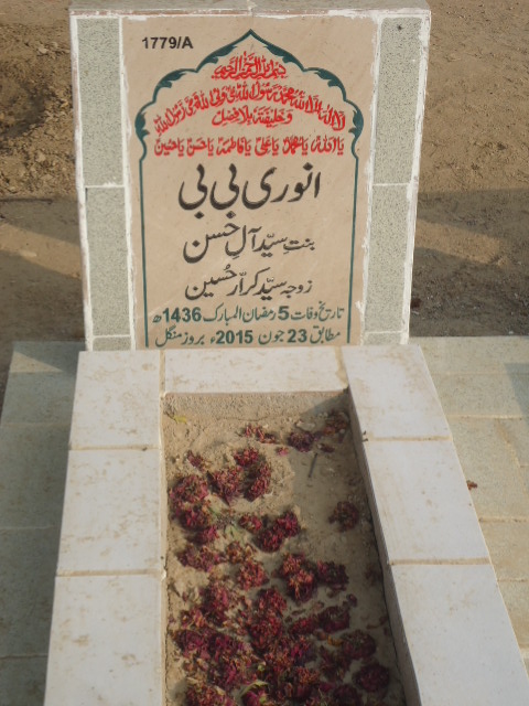 11779 – Anwari Bibi