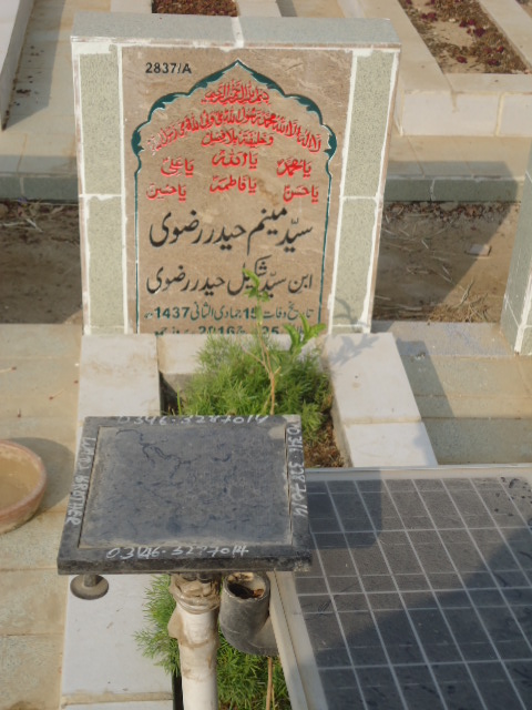 12837 – Syed Menam Haider Rizvi