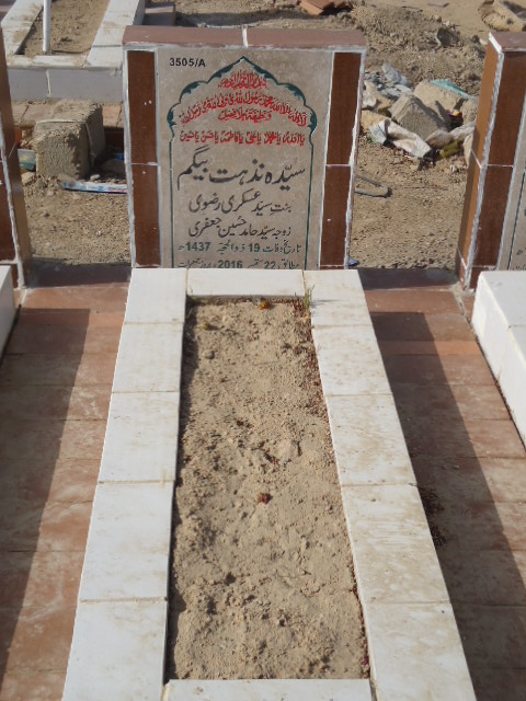 13505 – Syeda Nuzhat Begum