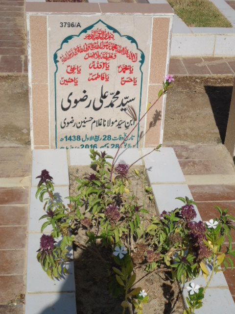 13796 – Syed Muhammad Ali Rizvi